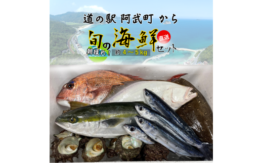 山口県 阿武町 道の駅 厳選 ! 当日水揚げ 鮮魚 セット 約4~5kg 新鮮 豪華 旬 獲れたて 魚 さかな サザエ 海鮮