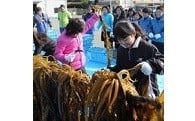 11.地域ブランド及び 地産地消の推進