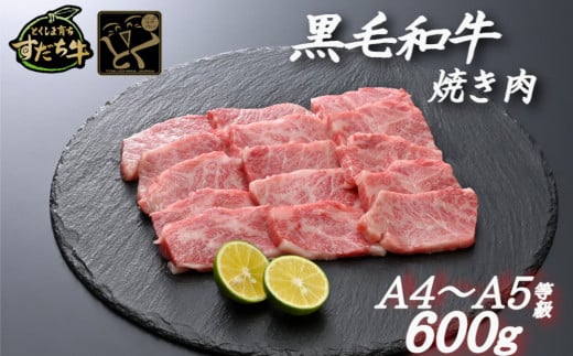すだち牛 黒毛和牛 ( 焼き肉用 ) 600g 国産 牛肉 焼き肉 焼肉 赤身 冷凍 お肉 肉 ブランド 和牛 霜降り カット 小分け 人気