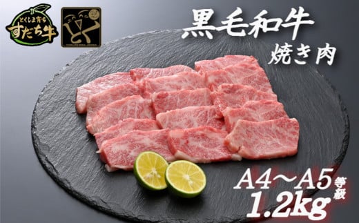 すだち牛 黒毛和牛 （ 焼き肉用 ） 1.2kg 国産 牛肉 焼き肉 焼肉 赤身 冷凍 お肉 肉 ブランド 和牛 霜降り カット 小分け 人気