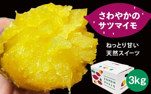 さわやかのサツマイモ　3kg　ねっとり 甘い  鳴門　さつまいも　国産 スイーツ 焼き芋 焼芋　天ぷら 干し芋