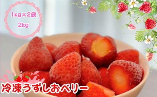 KISAI GARDEN 冷凍 うずしおベリー 2kg | 苺 いちご イチゴ 徳島 鳴門 果物 フルーツ スムージー ジャム