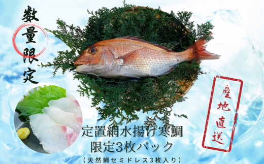 定置網水揚げ寒鯛 限定 3枚パック（天然鯛セミドレス３枚入）