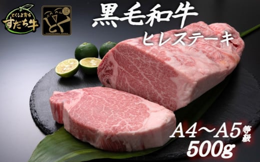 すだち牛 黒毛和牛 ヒレ 500g 国産 ステーキ 牛肉 冷凍 お肉 肉 ブランド 和牛 カット 小分け 人気