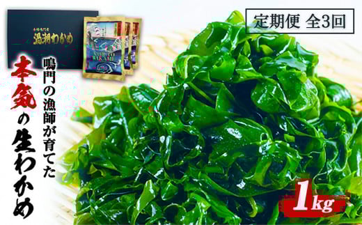 定期便 3回 お届け 生わかめ 1kg （100g×10袋）　鳴門わかめ わかめ 国産 ブランド 人気 小分け 湯通し 味噌汁 みそ汁 スープ 料理 ギフト