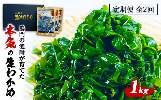 定期便 2回 お届け 生わかめ 1kg （100g×10袋）　鳴門わかめ わかめ 国産 ブランド 人気 小分け 湯通し 味噌汁 みそ汁 スープ 料理 ギフト