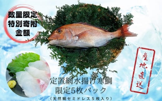 【数量限定】定置網水揚げ寒鯛 【特別寄付金額】 ( 天然鯛セミドレス５枚入 ) ｜ 真鯛 刺身 昆布締め カルパッチョ 煮付 アクアパッツァ