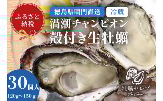 【牡蠣セレブ】渦潮チャンピオン 120g～150g×30個   生食  カキ 殻付き 生牡蠣 かき 鳴門  かき ブランド牡蠣 海鮮 魚介 貝類 焼き牡蠣 蒸し焼き カキフライ アヒージョ 牡蠣ご飯