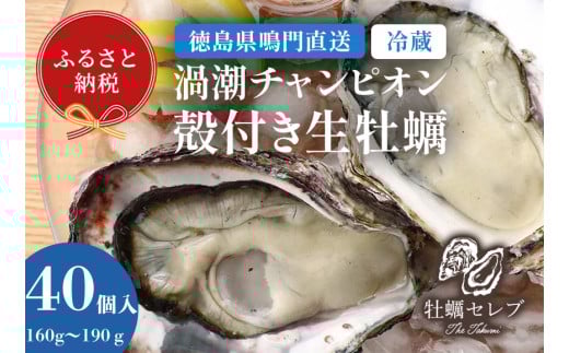 【牡蠣セレブ】渦潮チャンピオン 160g～190g×40個    生食  カキ 殻付き 生牡蠣 かき 鳴門  かき ブランド牡蠣 海鮮 魚介 貝類 焼き牡蠣 蒸し焼き カキフライ アヒージョ 牡蠣ご飯