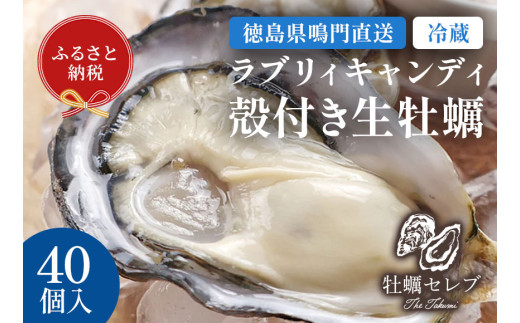 【牡蠣セレブ】ラブリィキャンディ ×40個    生食  カキ 殻付き 生牡蠣 かき 鳴門  かき ブランド牡蠣 海鮮 魚介 貝類 焼き牡蠣 蒸し焼き カキフライ アヒージョ 牡蠣ご飯