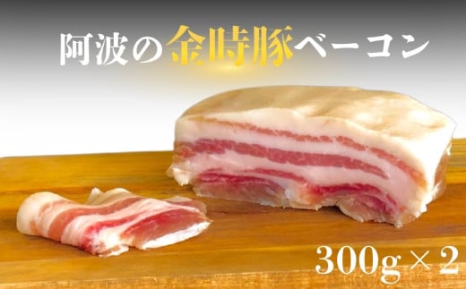 【阿波の金時豚】 ベーコン (600g)  金時豚 豚バラ肉 生ベーコン 冷凍 焼く パスタ スープ 具材