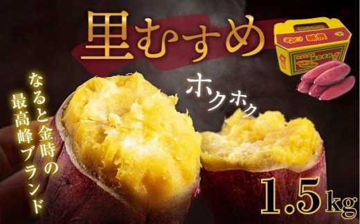 なると金時 ( 里むすめ ) 1.5kg |さつまいも 鳴門金時 熟成 国産 スイーツ 焼き芋 焼芋 焼いも 干し芋 ギフト 贈り物 お土産 サツマイモ 里娘