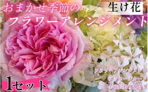 季節の 花束 フラワーアレンジメント  オリジナル手作りカード付 生花 こだわり 単品 1セット ギフト プレゼント 母の日 父の日 敬老の日 花束 フラワーガーデンミモザ ※北海道・東北・沖縄を含む離島への配送不可
