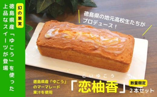 パウンドケーキ 2本 徳島県 ケーキ 洋菓子 柑橘 人気 スイーツ ケーキ パウンドケーキ お菓子 誕生日 お祝い ギフト お取り寄せ スイーツ ※配送指定不可