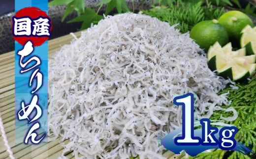 ちりめん 1kg 冷蔵 国産 徳島県産 新鮮 鮮度 しらす 魚 魚介類 小魚