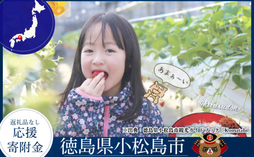 徳島県小松島市 【 返礼品なしの寄附】1000円 ~ 3,000,000円 応援寄附金 応援 支援 災害 子育て 1口 1000円から ふるさと納税 観光徳島 小松島 寄付 南海トラフ 巨大 地震 津波 避難 タワー  子育て世代 応援 プロジェクト 子供 応援寄付
