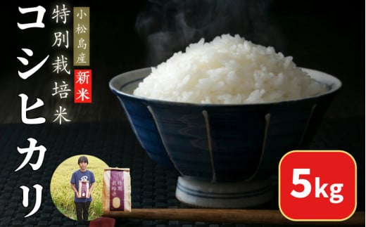 [2025年9月順次発送] 令和7年産 新米 白米 コシヒカリ 5kg 特別栽培米 健康 安心 安全 四国 徳島 小松島 送料無料 米 おいしい kome お米 こめ おこめ こしひかり 白米 精米 国産 ごはん ご飯 白飯 ゴハン 人気 コスパ おすすめ ふるさと TKG 卵かけご飯 おにぎり おむすび うめ 鮭 海苔