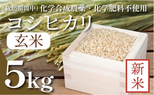 [令和7年産新米先行予約]玄米 5kg コシヒカリ 新米 令和7年産 米 こめ ご飯 ごはん おにぎり 卵かけご飯 白米 栽培期間中 化学合成農薬不使用 食品 備蓄 備蓄米 保存 防災 ギフト 贈答 プレゼント お取り寄せ グルメ 送料無料 徳島県