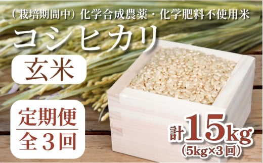 [令和7年産新米]玄米 定期便 3回 米 コシヒカリ 計15kg 5kg × 3回 お米 おこめ こめ ごはん 国産 白飯 ご飯 TKG 卵かけご飯 おにぎり おむすび 新生活 ふるさと ランキング 栄養 健康 安全 化学合成農薬不使用 いのち育む田んぼ米 生物多様性 送料無料 [北海道･東北･沖縄･離島への配送不可] 徳島県 小松島市