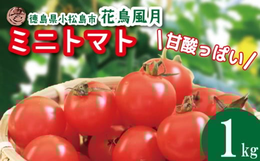 【2026年2月発送】 ミニトマト 1kg 花鳥風月 先行予約 トマト 水耕栽培 爽やか 甘い 野菜 やさい 国産 産地直送 数量限定 旬 フレッシュトマト 生野菜 新鮮 ソース 調味料 ケチャップ サラダ 美容 新鮮 健康 お取り寄せ トマト グルメ おすすめ 人気 1万円以下 10000円以下 徳島県 小松島市