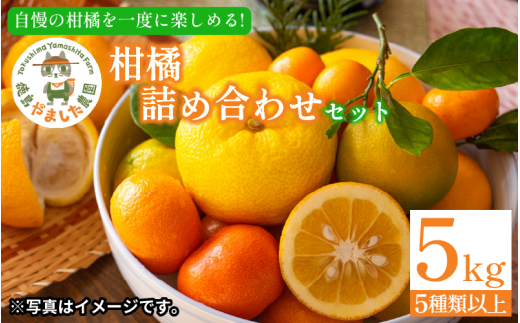 【2026年1月下旬順次発送】 柑橘 詰め合わせ5種以上 5kg しらぬい きよみ はるか 文旦 はっさく みかん レモン スイートレモネード  詰め合わせ  フルーツ 果物 お取り寄せ 人気 国産