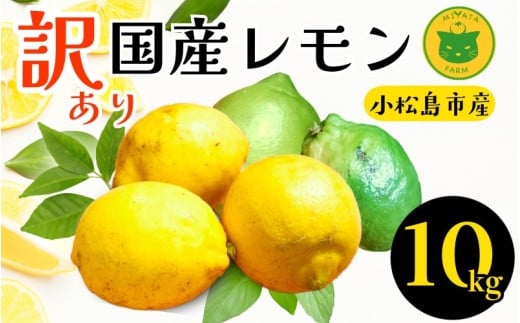 レモン 10kg 訳あり 2025年10月順次発送 国産 レモン 檸檬 れもん ワックス不使用 防腐剤不使用 柑橘 果汁 フルーツ 果実 徳島 小松島市