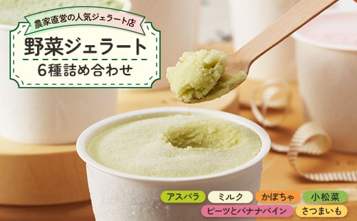 <野菜セット6種>農家直営の人気ジェラート店 ジェラート詰め合わせ【1422052】