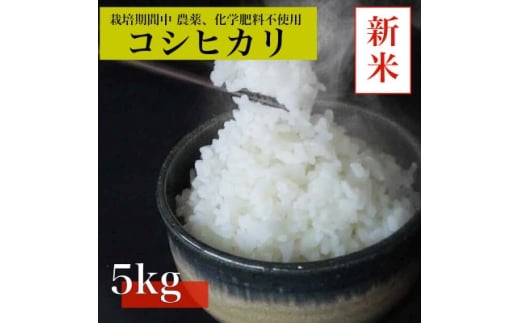 <令和7年産 新米先行予約>コシヒカリ白米5kg《栽培期間中農薬・化学肥料不使用》徳島県阿南市産【1655304】
