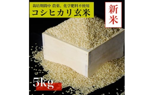<令和7年産 新米先行予約>コシヒカリ玄米5kg《栽培期間中農薬・化学肥料不使用》徳島県阿南市産【1655395】