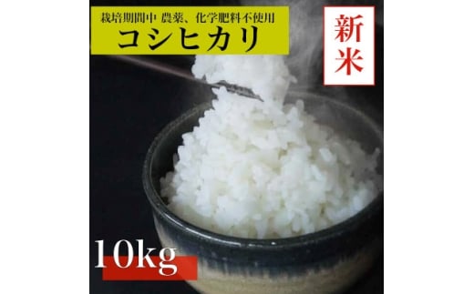 <令和7年産 新米先行予約>コシヒカリ白米10kg《栽培期間中農薬・化学肥料不使用》徳島県阿南市産【1655400】