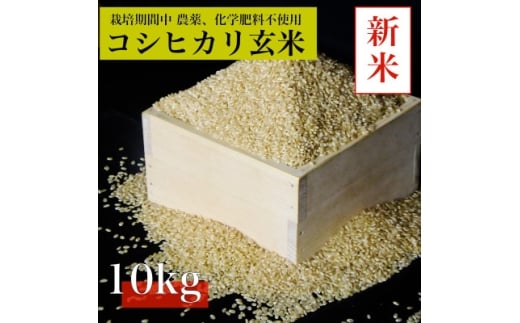 ＜令和7年産　新米先行予約＞コシヒカリ玄米10kg《栽培期間中農薬・化学肥料不使用》徳島県阿南市産【1655401】