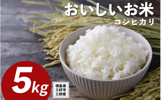 米 令和7年産 新米 5kg コシヒカリ 米 こめ お米 ご飯 ごはん おにぎり こしひかり 白米 精米 ギフト 贈答 プレゼント グルメ 送料無料 徳島県 三好市 みよし 篠原農園