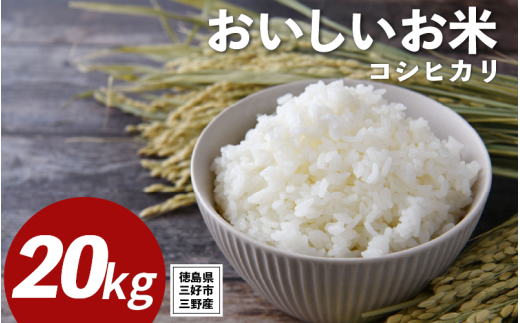 米 令和7年産 新米 20kg コシヒカリ 米 こめ お米 ご飯 ごはん おにぎり こしひかり 白米 精米 ギフト 贈答 プレゼント グルメ 送料無料 徳島県 三好市 みよし 篠原農園