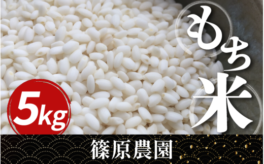 米 もち米 令和7年産 新米 5kg もちみのり 米 こめ お米 ご飯 ごはん もち 餅 もちごめ 白米 精米 備蓄 保存 防災 ギフト 贈答 プレゼント グルメ 送料無料 徳島県 三好市 みよし 篠原農園