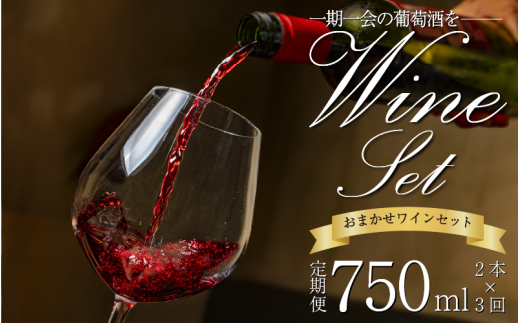 ワイン おまかせ 750ml 2本 セット 定期便 3回 4月 7月 12月 発送 Natan 葡萄酒 醸造所 酒 国産 国産ワイン 国産 プレゼント 贈答用 ギフト 記念 グルメ 送料無料 徳島県 三好市 みよし ナタン NATAN
