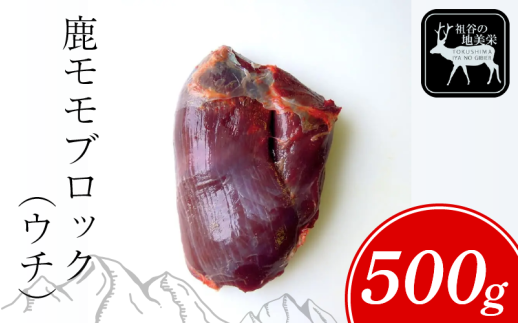 [徳島県三好市祖谷産]祖谷の地美栄 鹿 モモ ブロック ウチ 500g 希少 部位 ジビエ 地美栄 厳選 鹿肉 国産 ヘルシー 低カロリー 高たんぱく 低脂質 焼肉 BBQ バーベキュー ステーキ ロースト シカ シカ肉 唐揚げ カレー シチュー 使いやすい 冷凍 赤身 みよし 徳島 三好 祖谷