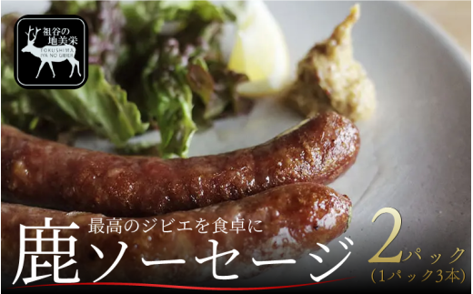 [徳島県三好市祖谷産]祖谷の地美栄 鹿肉 ソーセージ 3本 2パック 1本70g 希少 部位 ジビエ 地美栄 厳選 鹿 国産 ヘルシー 低カロリー 高たんぱく 低脂質 焼肉 BBQ バーベキュー ステーキ ハンバーグ 自家製 ソーセージ ロースト シカ シカ肉 唐揚げ カレー シチュー 使いやすい 小分け 冷凍 赤身 みよし 徳島 三好 祖谷
