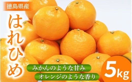 みかん はれひめ 5kg 先行予約 蜜柑 柑橘 ミカン 国産 数量限定 特産品 期間限定 徳島 三野 mikan フルーツ 果物 柑橘 ジュース おやつ デザート おいしい 徳島県 三好市 みよし miyoshi 小笠原智