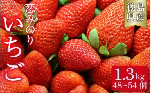 いちご 恋みのり 1.3kg 果物 フルーツ 苺 ストロベリー ジャム スムージー 洋菓子 家族 子ども フルーツサンド フルーツ大福 いちご大福 苺大福 人気 オススメ お取り寄せ グルメ いちご狩り いちごはうす 近藤 民宿 農家民宿 徳島 三好 みよし