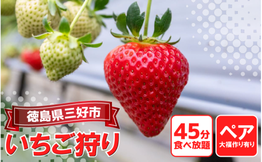 いちご 狩り 体験 チケット 大福づくり あり ペア 2人 思い出 家族 夏休み 農園 観光 いちごはうす 民宿 農家民宿 フルーツ狩り 果物 徳島 三好 みよし