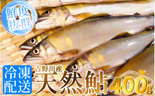 鮎 天然 あゆ 1袋 400g 吉野川産 吉野川 清流 釣り鮎 釣り アユ 魚 魚介 川魚 塩焼き アウトドア バーベキュー BBQ キャンプ 国産 酒 ビール おつまみ 弁当 惣菜 おかず 冷凍 徳島県 三好市 みよし miyoshi