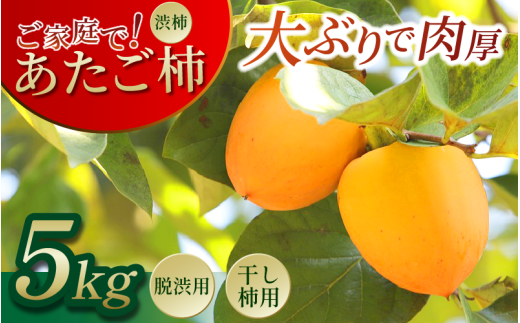 三好市産 あたご柿 5kg 15玉 ~ 20玉 渋柿 柿 愛宕柿 秋の味覚 甘い 肉厚 旬 果実 干し柿 脱渋 ご家庭で 人気 オススメ お取り寄せ 手仕事 目利き 特選 林青果 秘境 みよし 三好市 徳島県