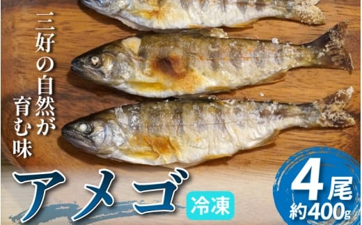 川魚 あめご 4尾 400g 前後 天魚 アマゴ 魚 魚介 塩焼き 唐揚げ アウトドア バーベキュー BBQ キャンプ 国産 酒 ビール おつまみ 弁当 惣菜 おかず 冷凍 徳島県 三好市 みよし miyoshi