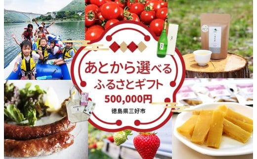 三好市 ふるさと納税 カタログ寄付 50万円コース ゆっくりえらべる カタログ あとから選べる 肉 米 野菜 酒 観光 宿泊 体験 アクティビティ 定期便 スイーツ フルーツ 選べる ギフト セレクト 【 徳島県 三好市 】