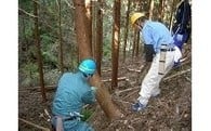 （２）森林農地適正管理基金