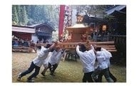 （３）文化振興基金
