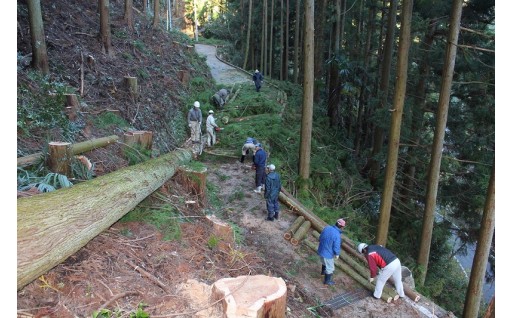 （８）持続可能な美しいまちづくり基金（集落再生）