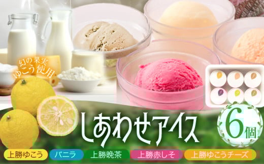 しあわせアイス 5種 セット 計6個 彩食品グループ 《30日以内に出荷予定(土日祝除く)》| アイス アイスクリーム ご当地 スイーツ ご当地 アイス 特産品 柑橘 柚香 晩茶 お取り寄せ カップ ジェラート 徳島県 上勝町 送料無料 st-p