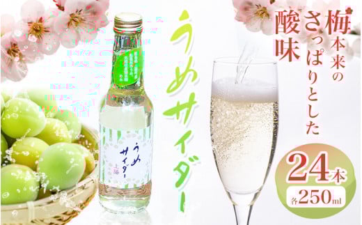 うめサイダー 24本 各250ml 彩食品グループ 《30日以内に出荷予定(土日祝除く)》 徳島県 上勝町 送料無料 梅 うめ サイダー 飲み物 ジュース st-p