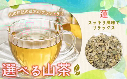 山茶 蓬 1パック NARUMIFARM《30日以内に出荷予定(土日祝除く)》| お茶 茶 ハーブティー 自然栽培 ブレンドティー ブレンド オーガニック 飲料 飲み物 お家時間 徳島県 上勝町 送料無料